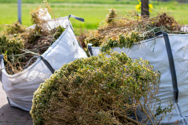 Best Residential Junk Removal  in New Brighton, MN